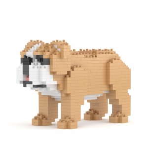 Mini Bulldog Anglais beige